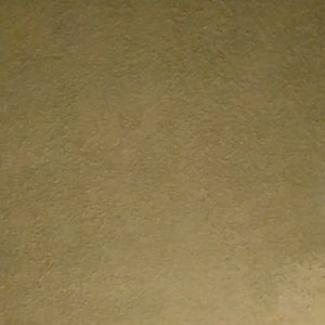 Meet your Posher, Ian